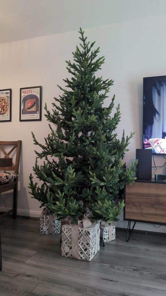 7ft Arlberg Fir Pre-Lit Christmas Tree