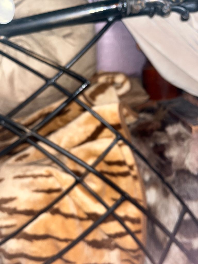 Gothic cathedral styled iron bedstead and wood slats, vintage Ikea 