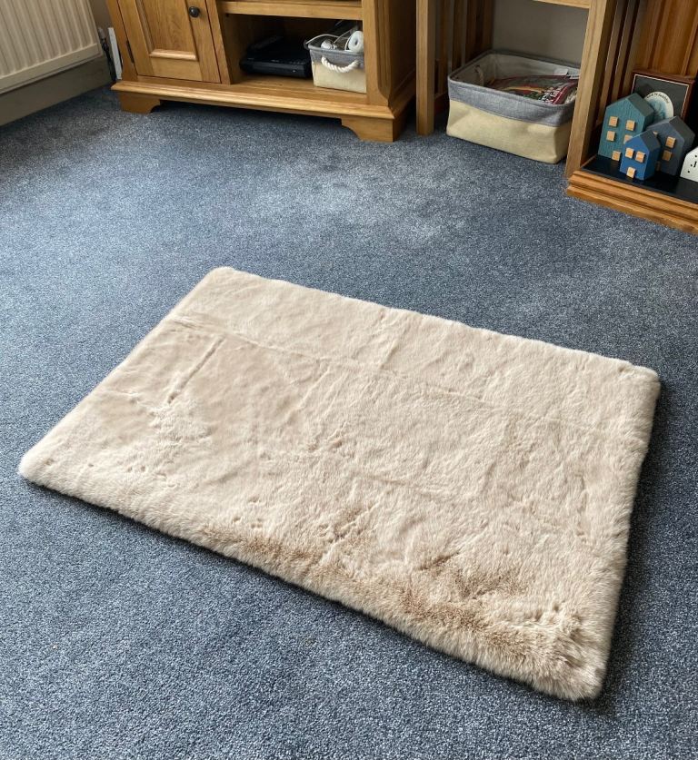 Super Soft Beige Rug 