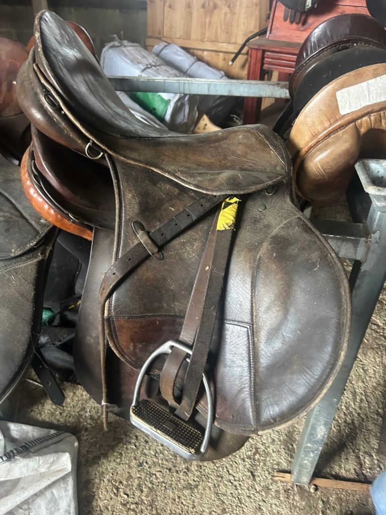 Stubben saddles 