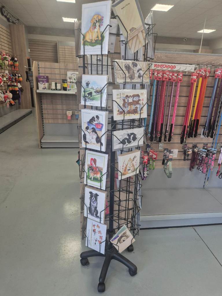 Rotating freetinf card retail Display Stand 