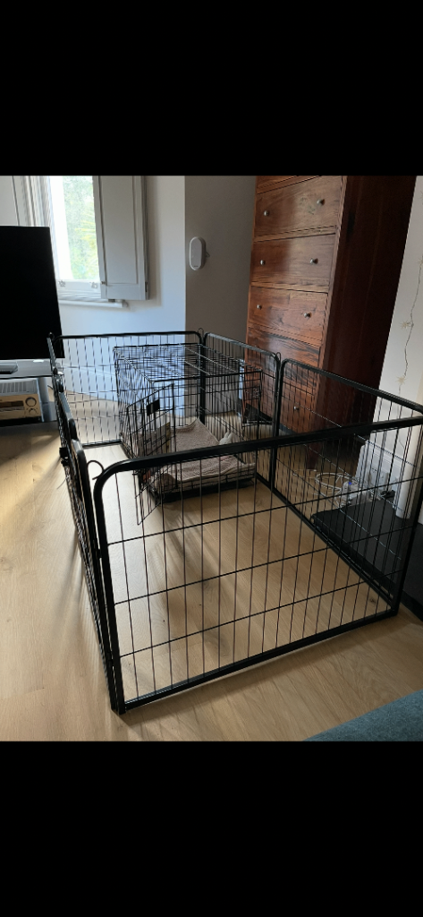 iCrate single door pet crate