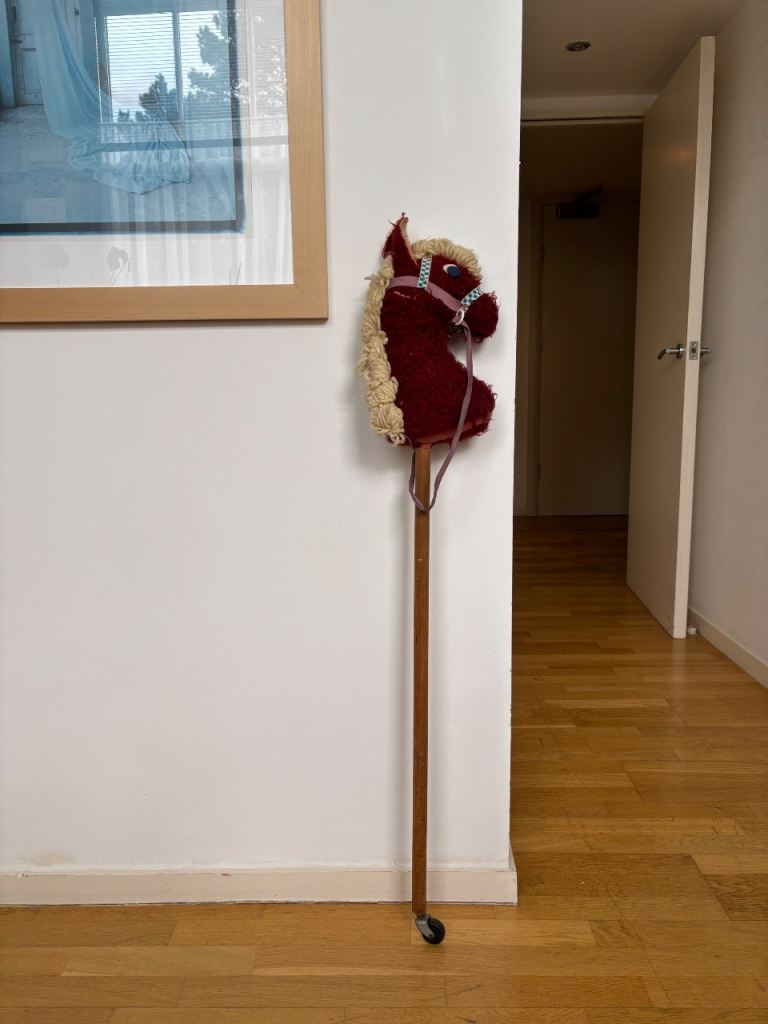 Hobby horse retro 1970s
