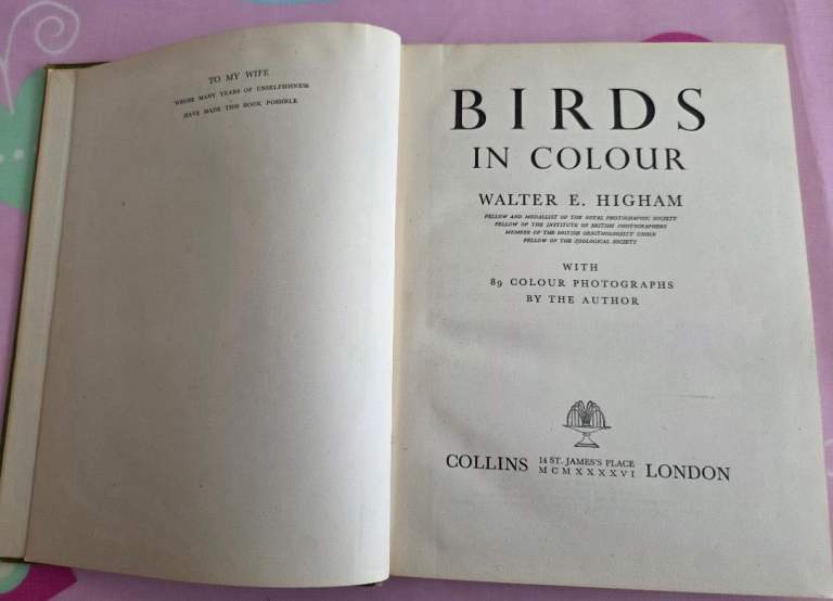 Birds in Colour by Walter E. Higham – Vintage Book