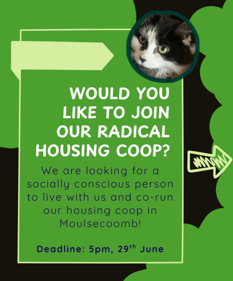 Single occupancy room available in Brighton housing Coop! 