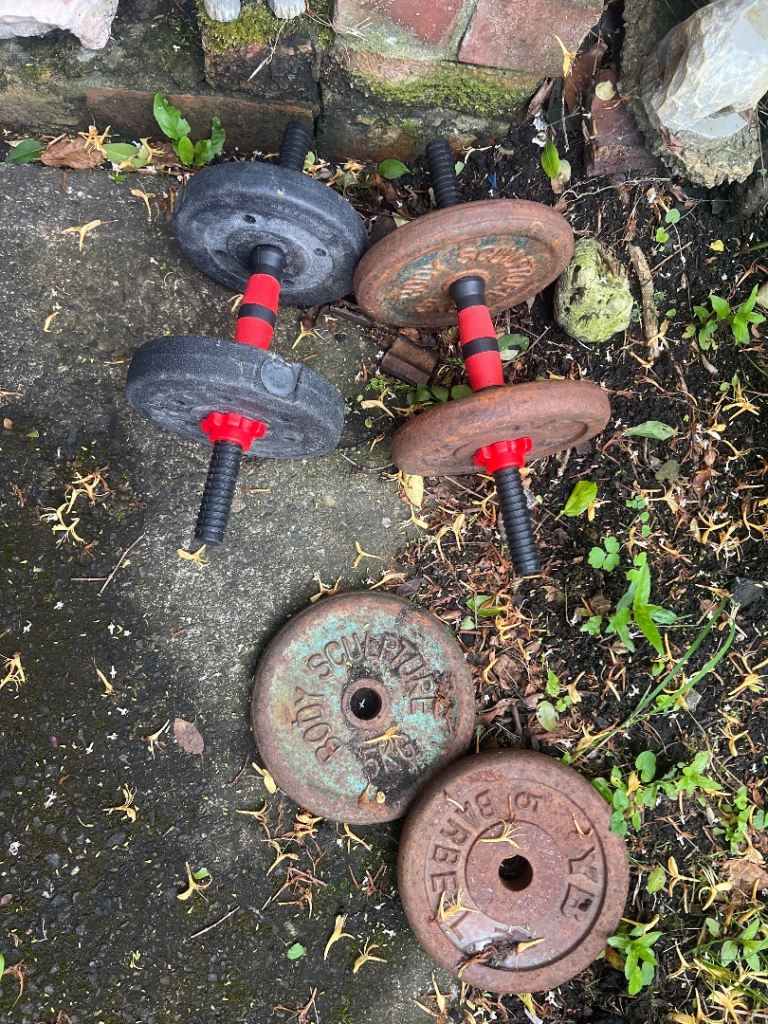 Adjustable Dumbbells and Weight Plates – Fair Condition