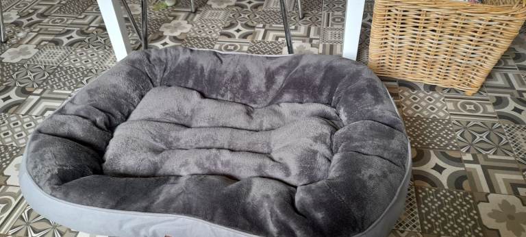 orthopaedic dog bed.