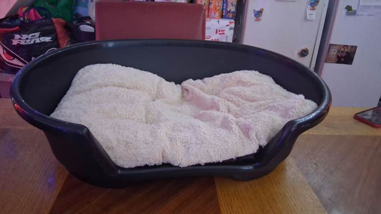 Small dog bed 