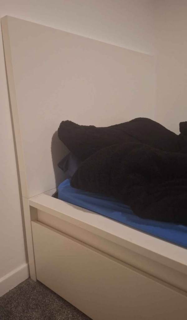 Ikea Malm single bed