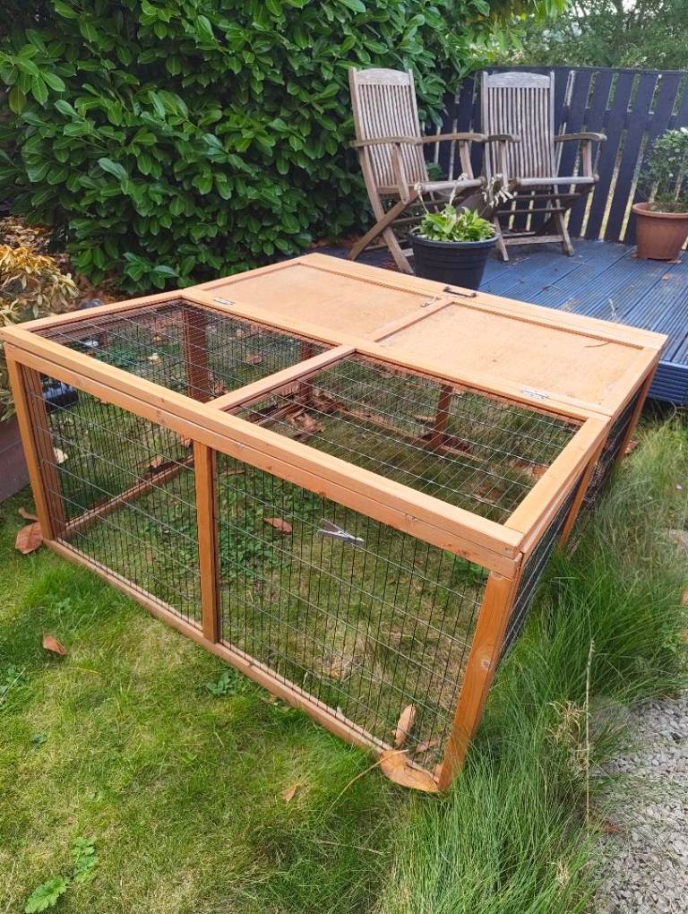 Guinea Pig run
