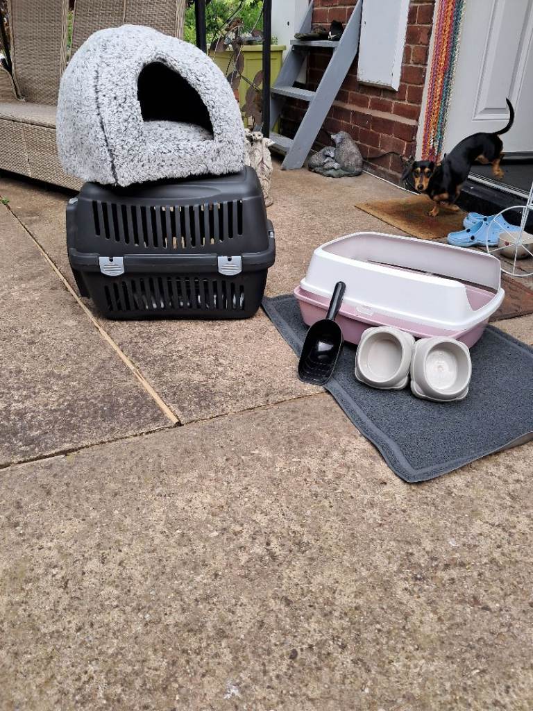 Cat accessories 