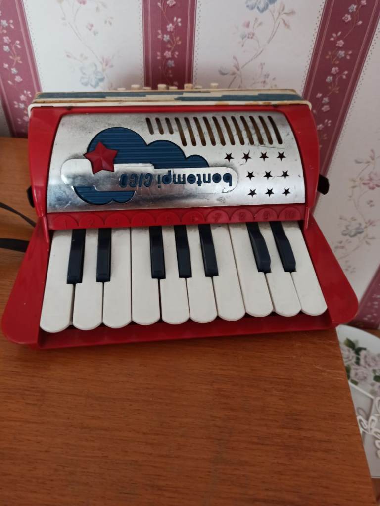 Bontempi Cico Accordion 