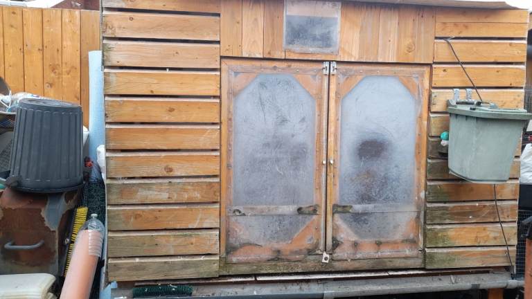 Pigeons and Loft all for free