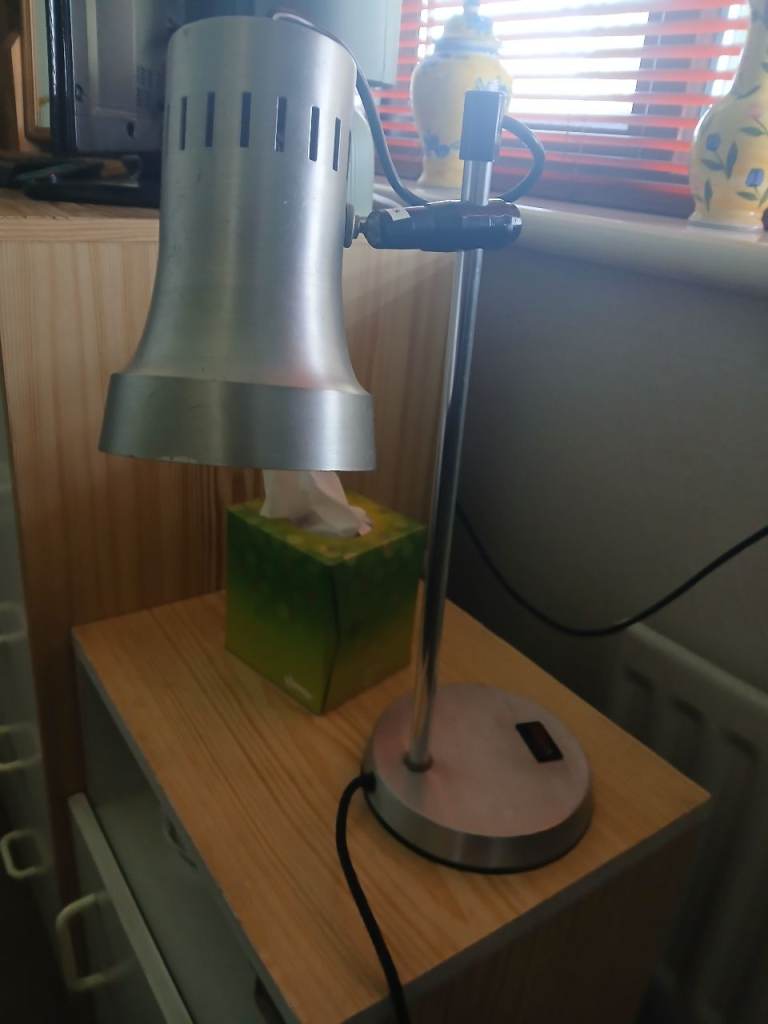 Silver Metal Desk Lamp – Good Working Order