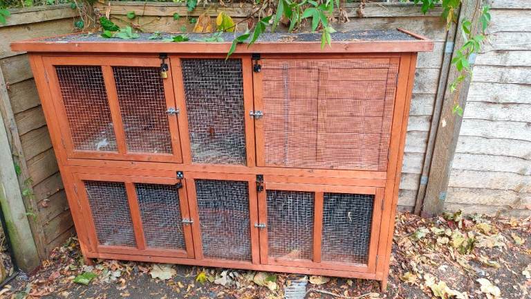 Rabbit and Guinea Pig Hutch