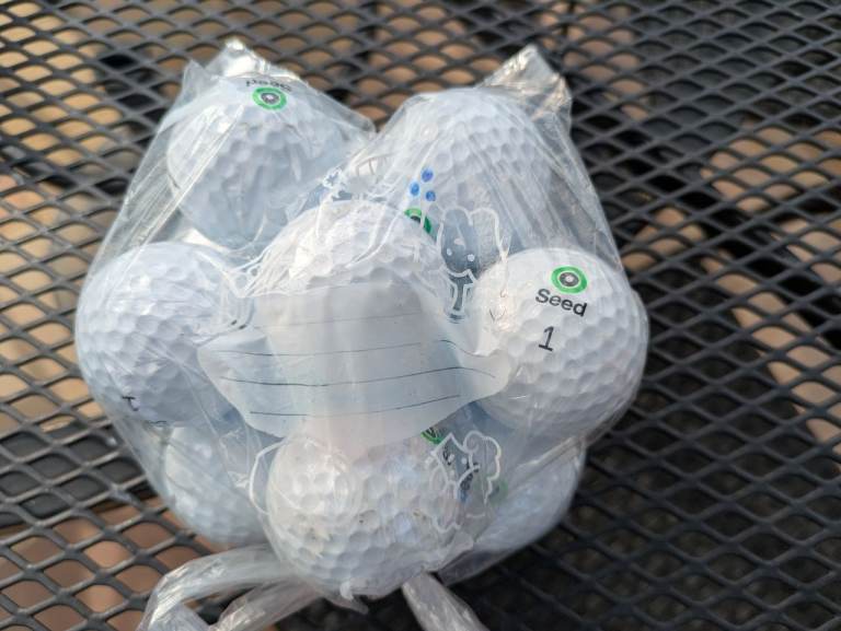 Seed Golf Balls