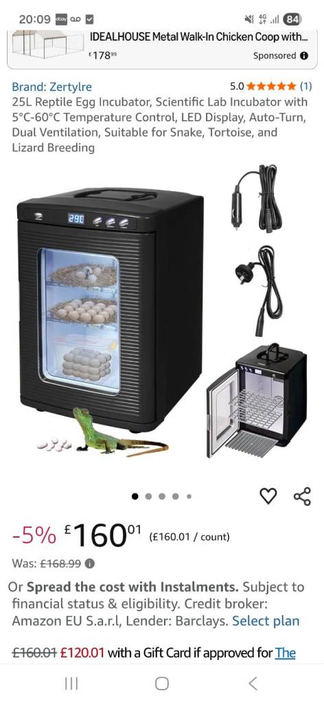 Reptile incubator