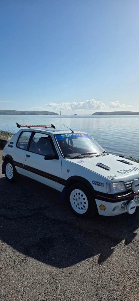 Peugeot 205 great summer fun