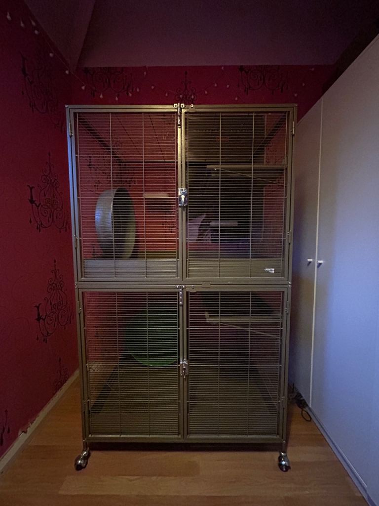 Rodent cage 