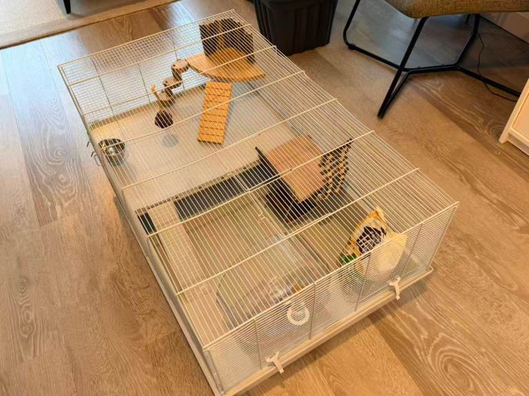 Hamster cage + accessories 