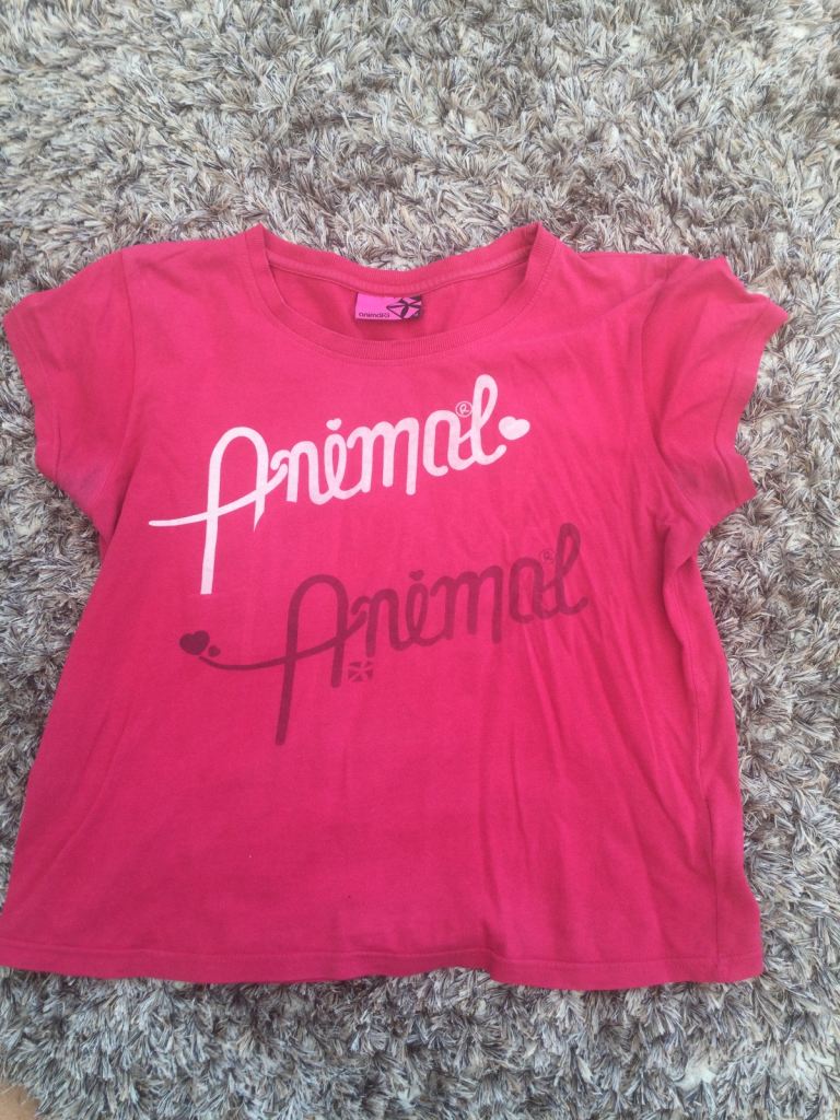 Animal ladies size 14 top. £2. Torquay or can post