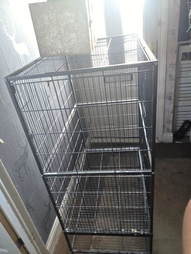 Large bird cage