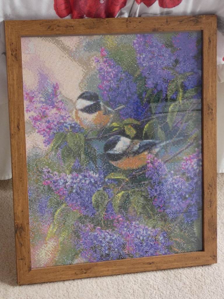Diamond painting framed bird picture.