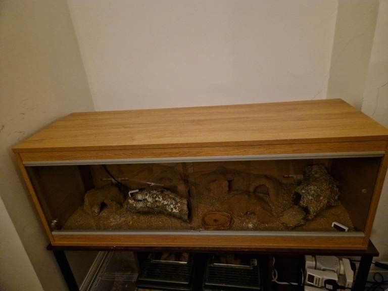 Large Reptile Vivarium 