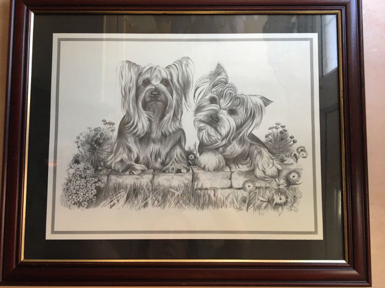 Framed Signed Picture of Yorkshire Terrier Dogs 