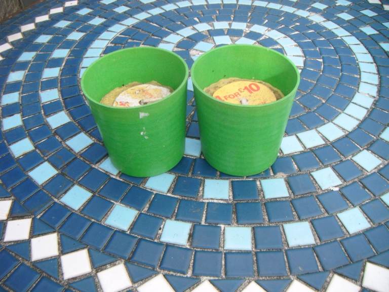 2 Unused Outdoor Candles