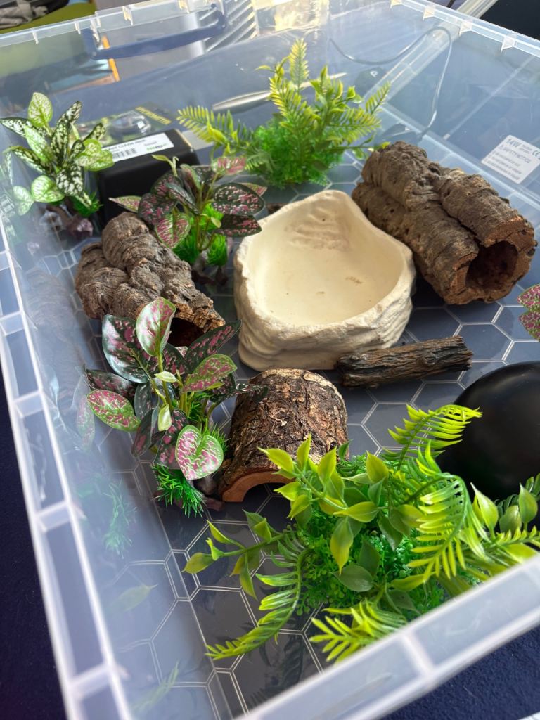 Snake set up ball python corn snake etc reptile 