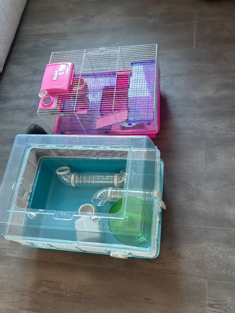 Hamster cages