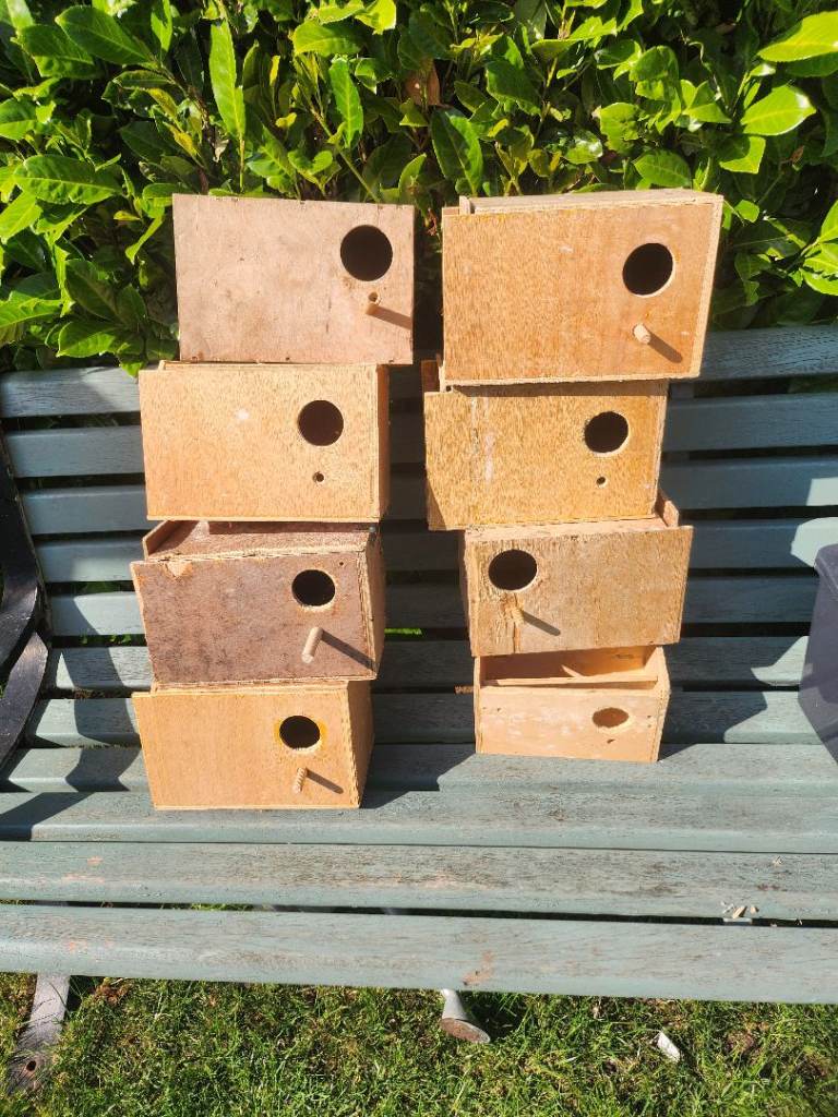 Breeding boxes budgies