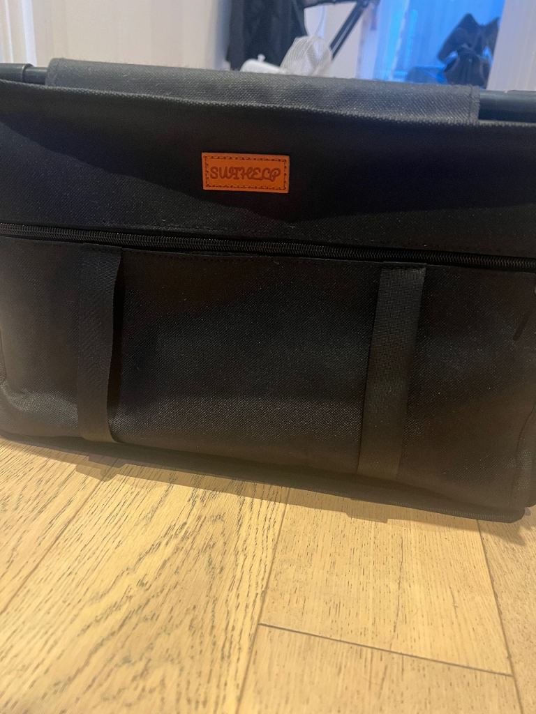 Dog car seat with cushion