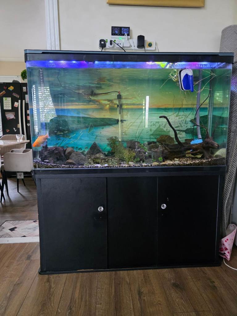 Fish tank for quick sale