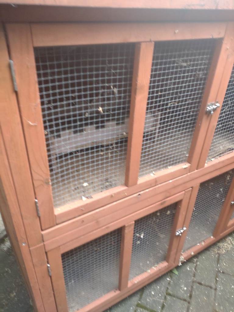 Rabbit hutch 