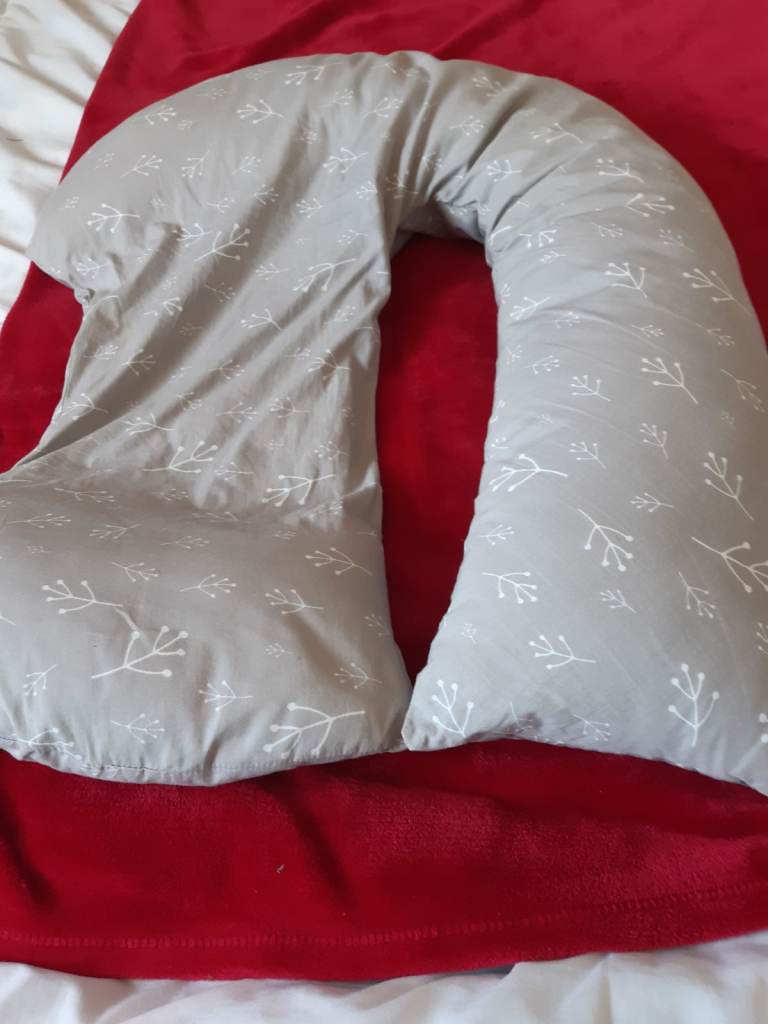 Dreamgenii prenancy support pillow