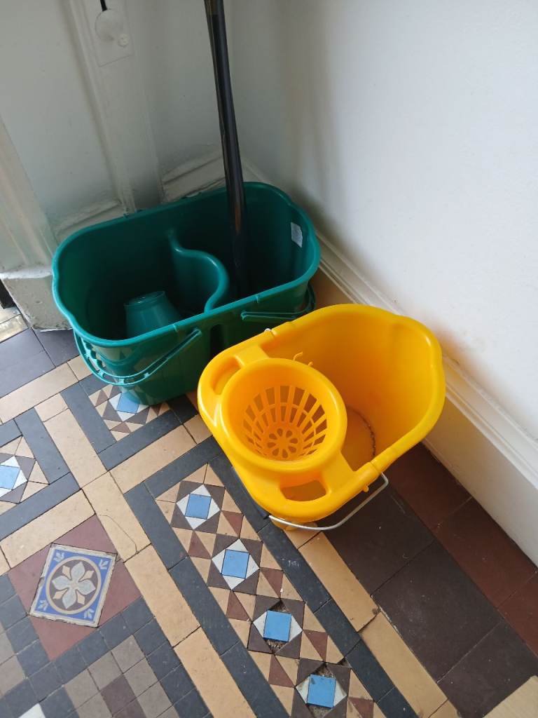 Two mop buckets and two poles