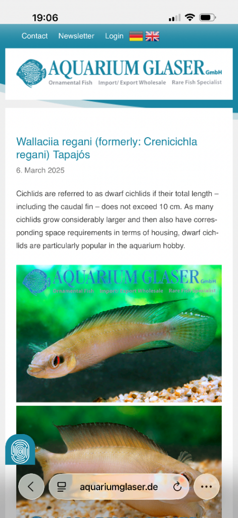 Tropical fish for sale