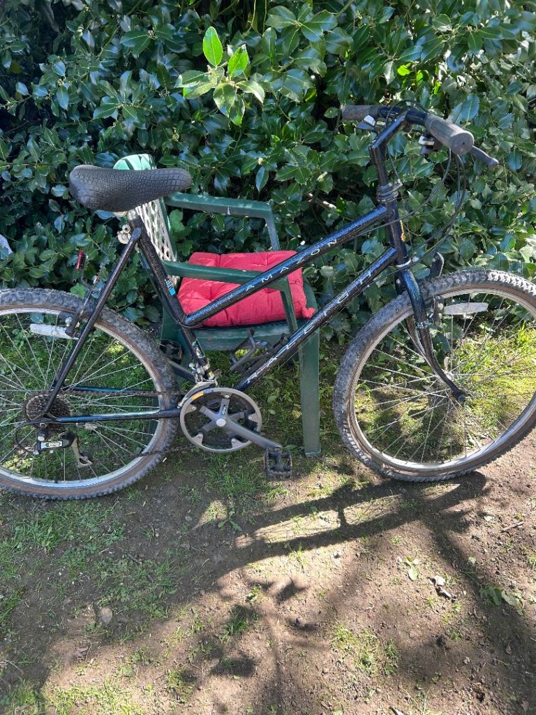 Raleigh Amazon adult mountain bike 