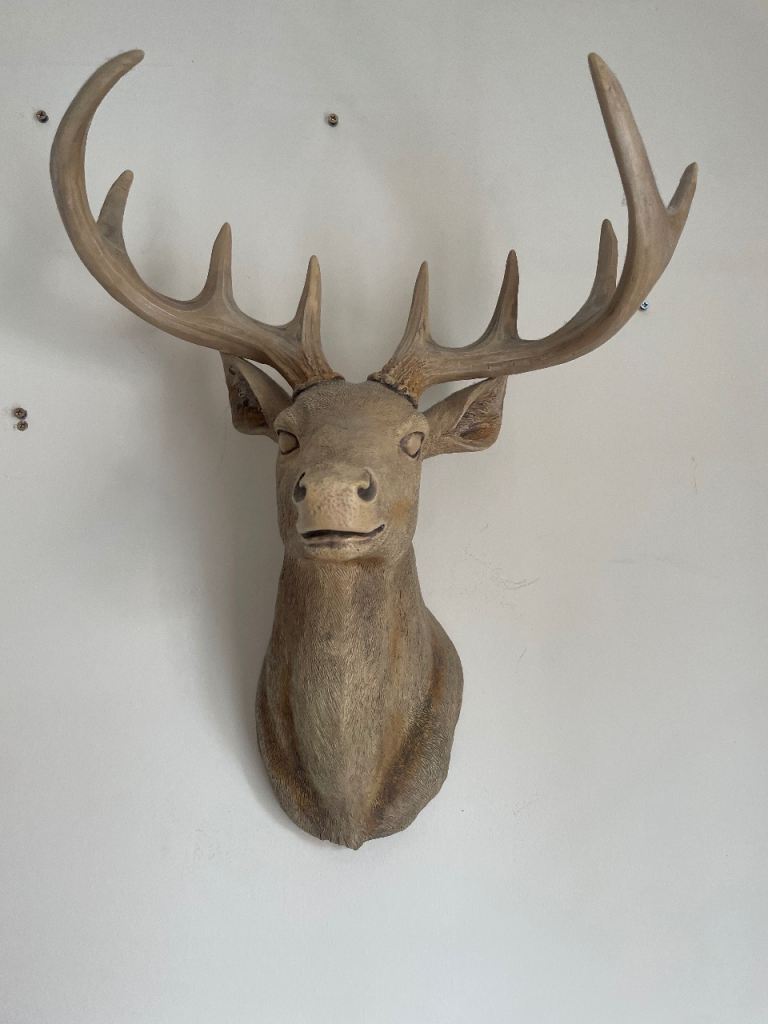 Stags head decorative piece 