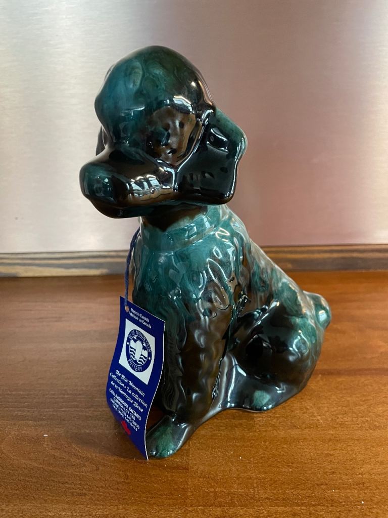 Genuine Blue Mountain Poodle