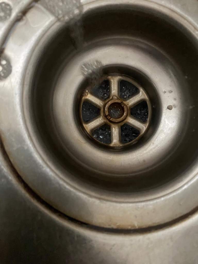 Cleaning ladybug 