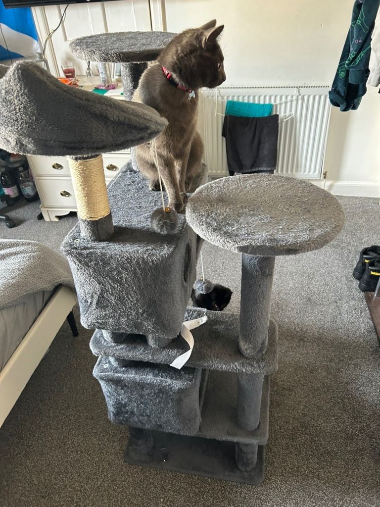 Cat tree 