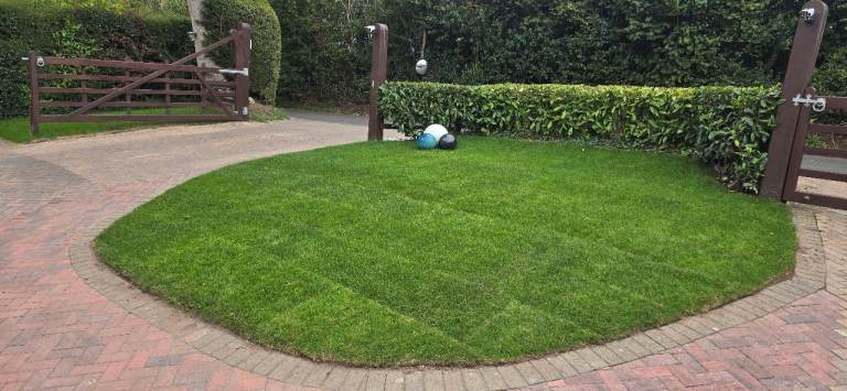🌿 Garden Clearances & Waste Removal