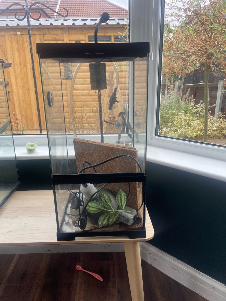 Exo terra paludarium