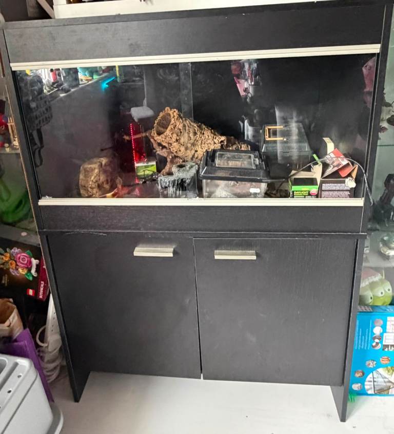 Medium vivarium setup with accessories