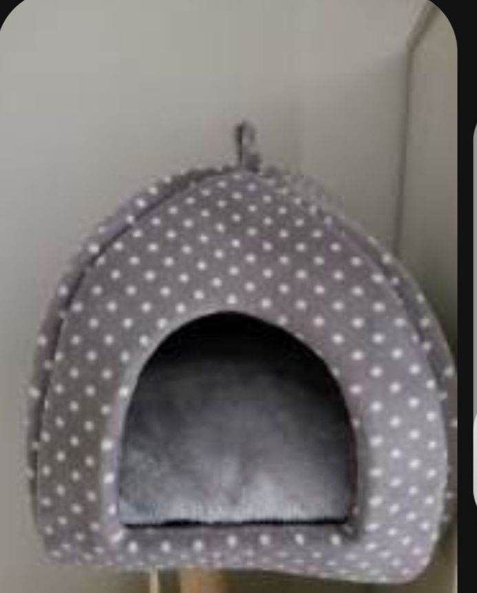 Cat igloo and free smart toy