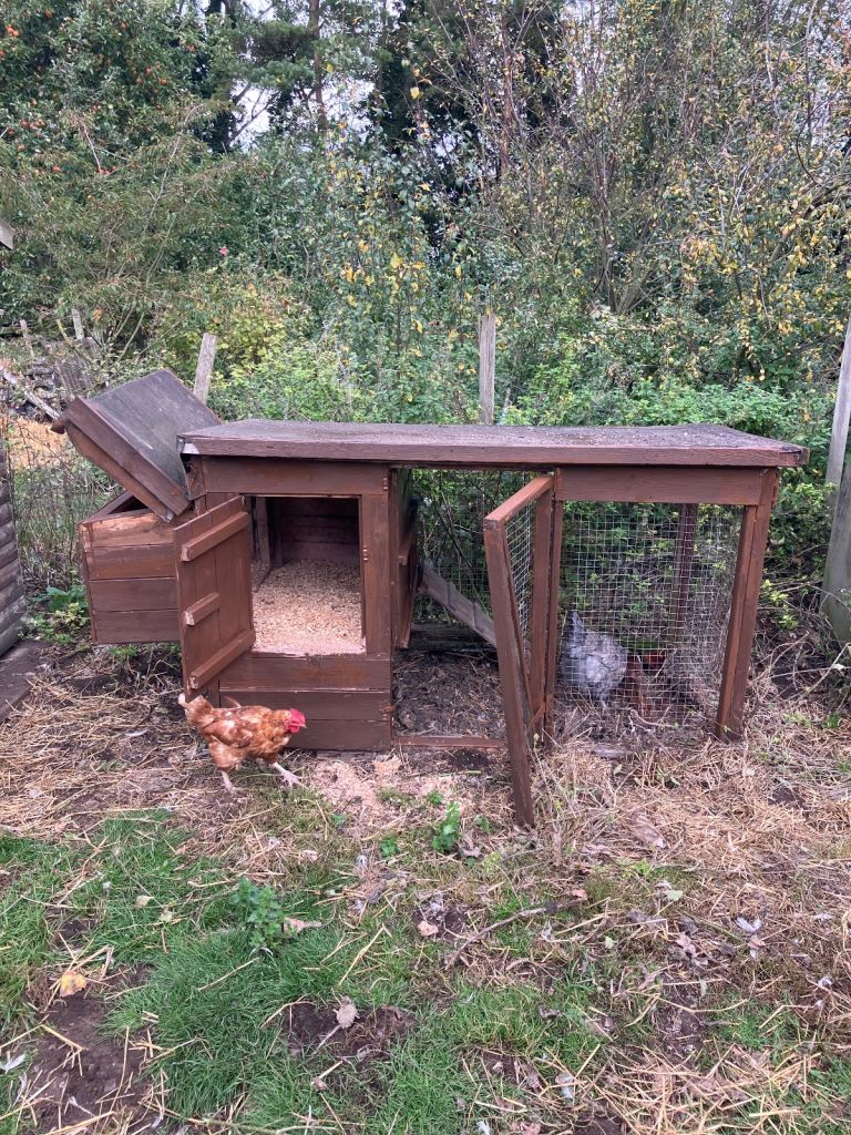 Chicken hut for sale 