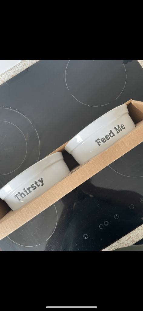 Dog food and water bowl